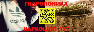 дмт Свободный