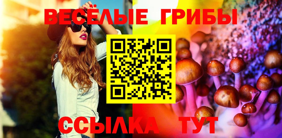 что такое   Галлюциногенные грибы MAGIC MUSHROOMS  Вход с VPN  Сосновоборск 